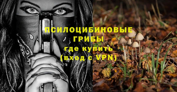 бошки Богородск